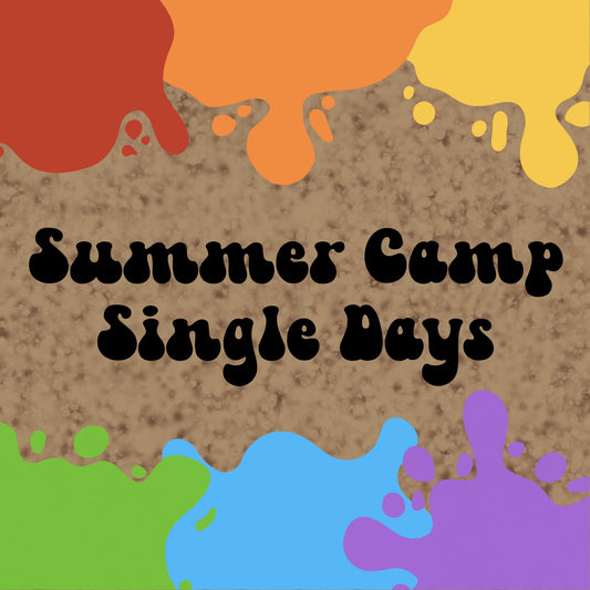 Summer Camp - Single Day