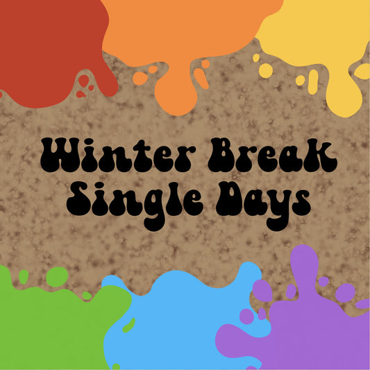 Winter Camp - Single Day